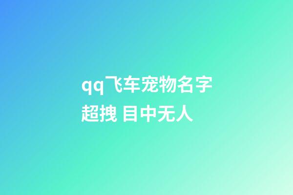 qq飞车宠物名字超拽 目中无人
